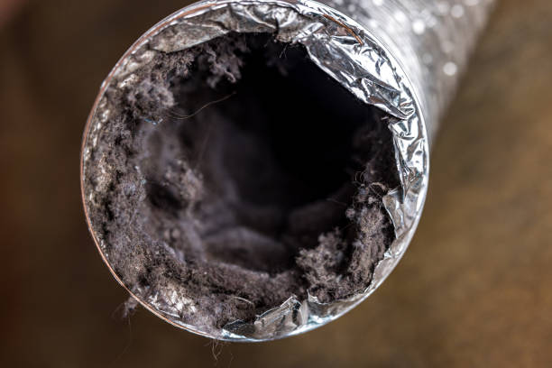 Best Mold and Mildew Removal from Ducts in Charleston, SC